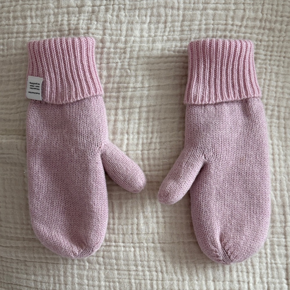 Frank and Oak Wool Blend Fleece Lined Mittens